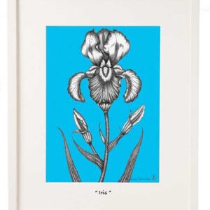 6x7in Iris Framed Print