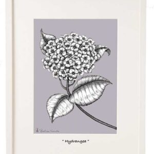 6x7in Framed Print Hydrangea